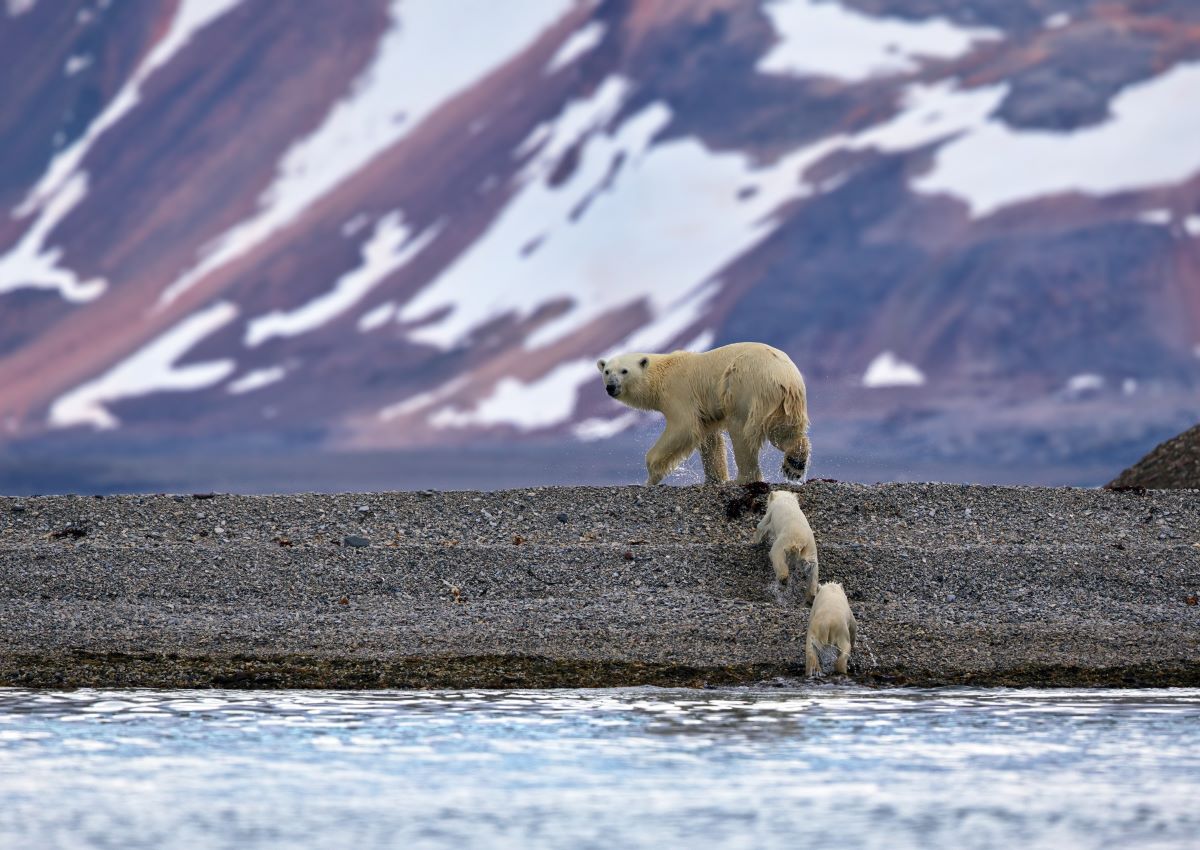 Schnee, Lawinen und Eisbären – Willkommen auf Spitzbergen!